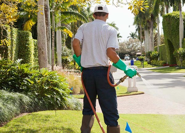 About Mckinleyville CA Pest Control